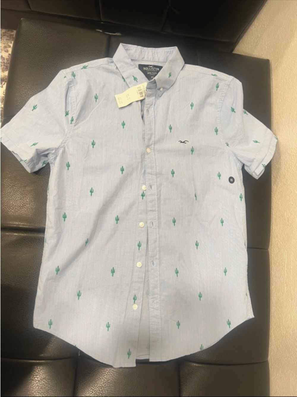 Hollister Light Blue Short-Sleeve Button-Down with Green Cactus Embroidery